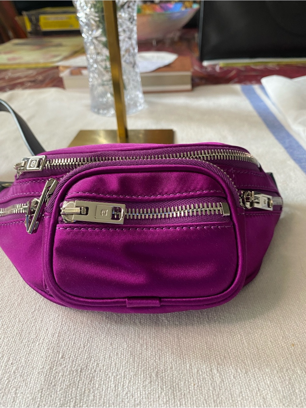 Alexander Wang Attica Mini Fanny Pack